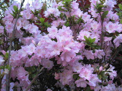 f:id:miyotya:20120329155738j:image f:id:miyotya:20120329155738j:image