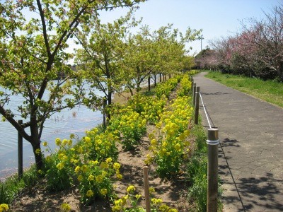 f:id:miyotya:20120407110044j:image