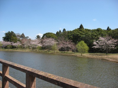 f:id:miyotya:20120407111259j:image