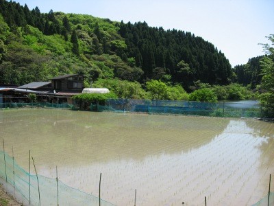 f:id:miyotya:20120505105406j:image