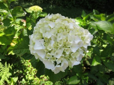 f:id:miyotya:20120610104300j:image f:id:miyotya:20120610104300j:image