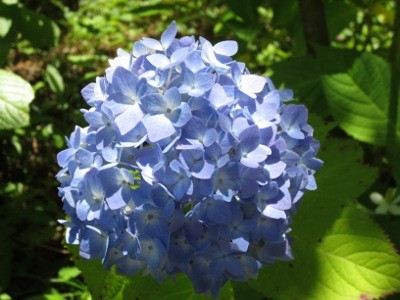 f:id:miyotya:20120610104549j:image f:id:miyotya:20120610104549j:image