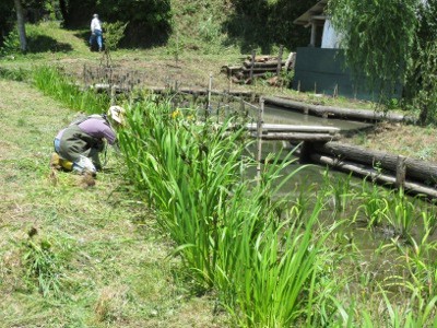 f:id:miyotya:20120610111252j:image f:id:miyotya:20120610111252j:image
