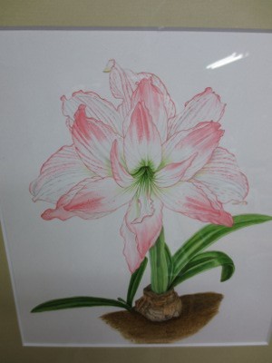f:id:miyotya:20120615130253j:image f:id:miyotya:20120615130253j:image