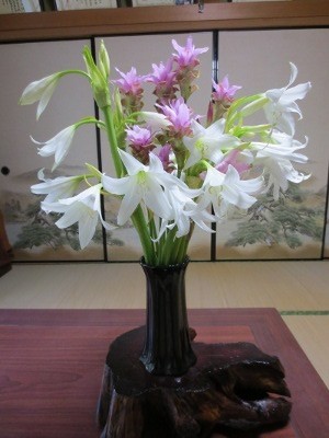 f:id:miyotya:20120629165833j:image