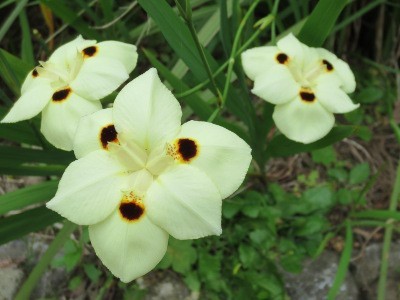 f:id:miyotya:20120701201002j:image