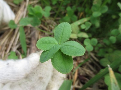 f:id:miyotya:20120715195938j:image f:id:miyotya:20120715195938j:image