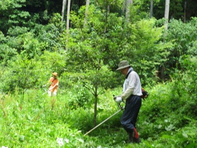 f:id:miyotya:20120715195940j:image f:id:miyotya:20120715195940j:image