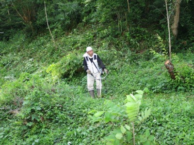 f:id:miyotya:20120715195941j:image f:id:miyotya:20120715195941j:image