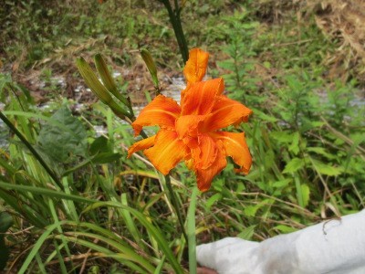 f:id:miyotya:20120715201013j:image f:id:miyotya:20120715201013j:image