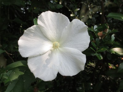 f:id:miyotya:20120727195512j:image