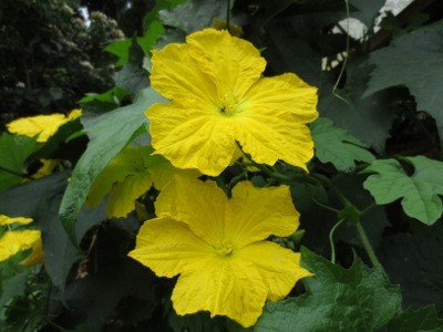 f:id:miyotya:20120812203356j:image f:id:miyotya:20120812203356j:image