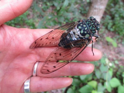 f:id:miyotya:20120812204128j:image f:id:miyotya:20120812204128j:image