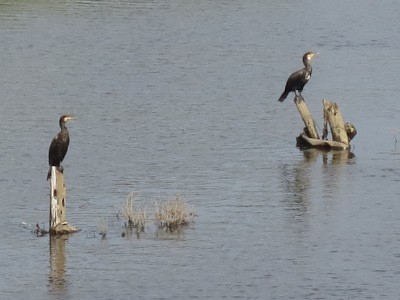 f:id:miyotya:20120905170056j:image