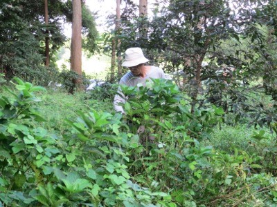 f:id:miyotya:20120910110720j:image f:id:miyotya:20120910110720j:image