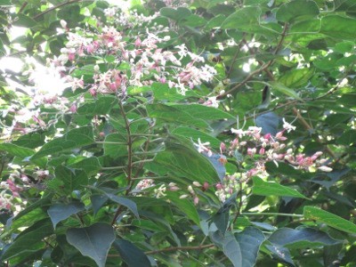 f:id:miyotya:20120910111848j:image f:id:miyotya:20120910111848j:image