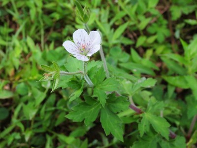 f:id:miyotya:20120910113239j:image f:id:miyotya:20120910113239j:image