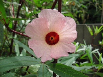 f:id:miyotya:20120911203235j:image