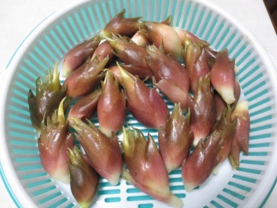 f:id:miyotya:20120915110516j:image f:id:miyotya:20120915110516j:image