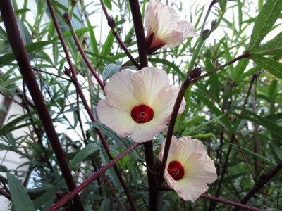 f:id:miyotya:20120915115702j:image f:id:miyotya:20120915115702j:image