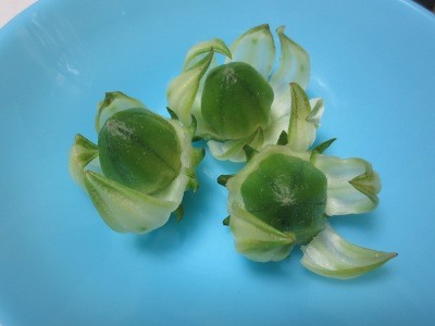 f:id:miyotya:20120930170107j:image f:id:miyotya:20120930170107j:image