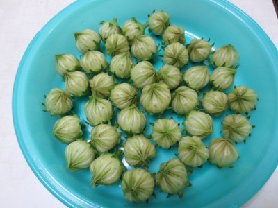 f:id:miyotya:20121009190748j:image