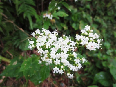 f:id:miyotya:20121014142957j:image f:id:miyotya:20121014142957j:image