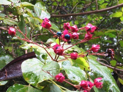 f:id:miyotya:20121014142959j:image f:id:miyotya:20121014142959j:image