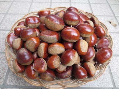 f:id:miyotya:20121015170530j:image