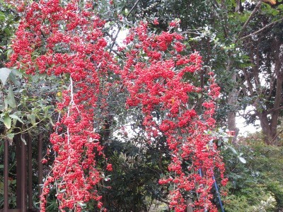 f:id:miyotya:20121102171156j:image f:id:miyotya:20121102171156j:image