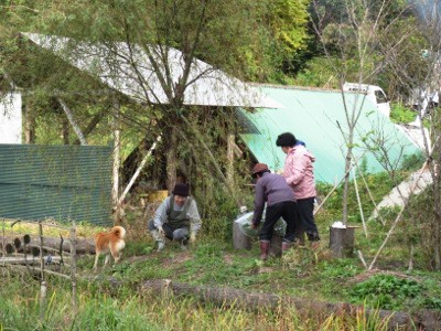 f:id:miyotya:20121111190652j:image