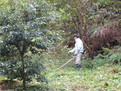 f:id:miyotya:20121111192058j:image
