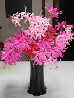 f:id:miyotya:20121115193511j:image