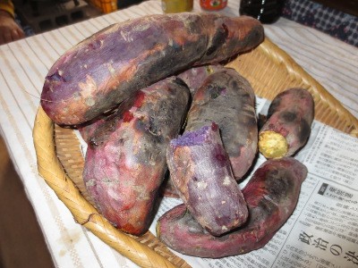 f:id:miyotya:20121219200836j:image