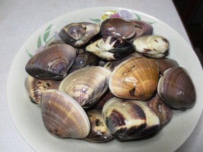 f:id:miyotya:20121220193244j:image
