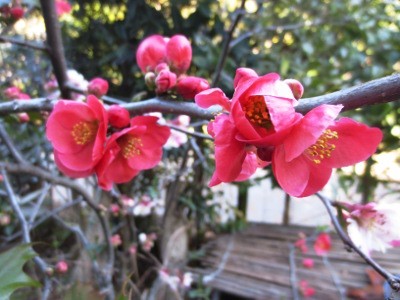 f:id:miyotya:20130311210725j:image f:id:miyotya:20130311210725j:image
