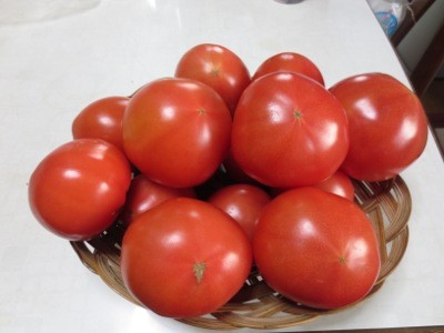 f:id:miyotya:20130315190743j:image f:id:miyotya:20130315190743j:image