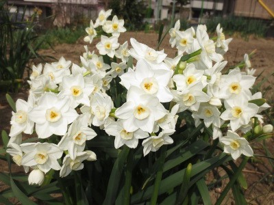 f:id:miyotya:20130320193549j:image