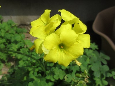 f:id:miyotya:20130320194059j:image