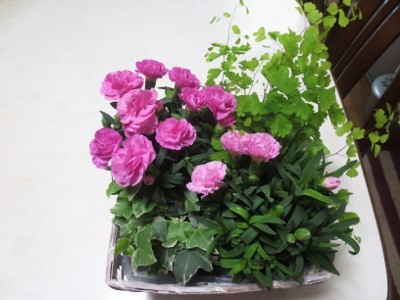 f:id:miyotya:20130513161249j:image f:id:miyotya:20130513161249j:image