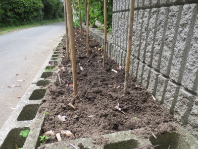 f:id:miyotya:20130522165245j:image f:id:miyotya:20130522165245j:image