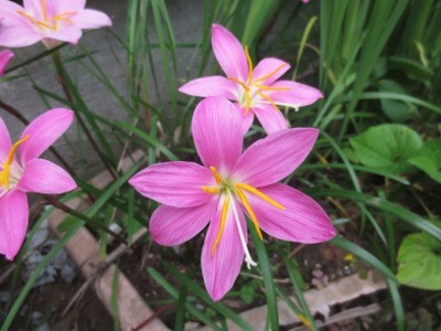 f:id:miyotya:20130625162142j:image f:id:miyotya:20130625162142j:image