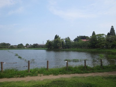 f:id:miyotya:20130729163841j:image f:id:miyotya:20130729163841j:image