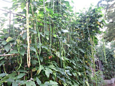 f:id:miyotya:20130804141214j:image f:id:miyotya:20130804141214j:image