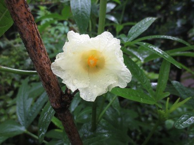 f:id:miyotya:20130916152632j:image f:id:miyotya:20130916152632j:image