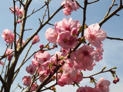 f:id:miyotya:20140330172813j:image f:id:miyotya:20140330172813j:image
