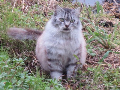 f:id:miyotya:20150827182510j:image