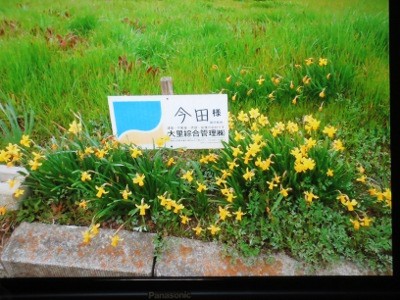 f:id:miyotya:20151106190713j:image