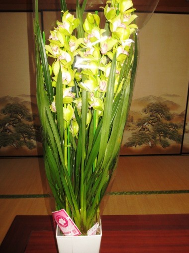 f:id:miyotya:20151215190713j:image f:id:miyotya:20151215190713j:image