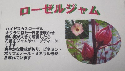 f:id:miyotya:20160129160351j:image f:id:miyotya:20160129160351j:image